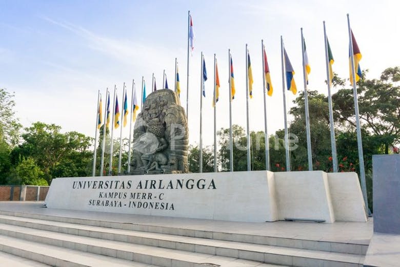 universitas airlangga  unair - 3