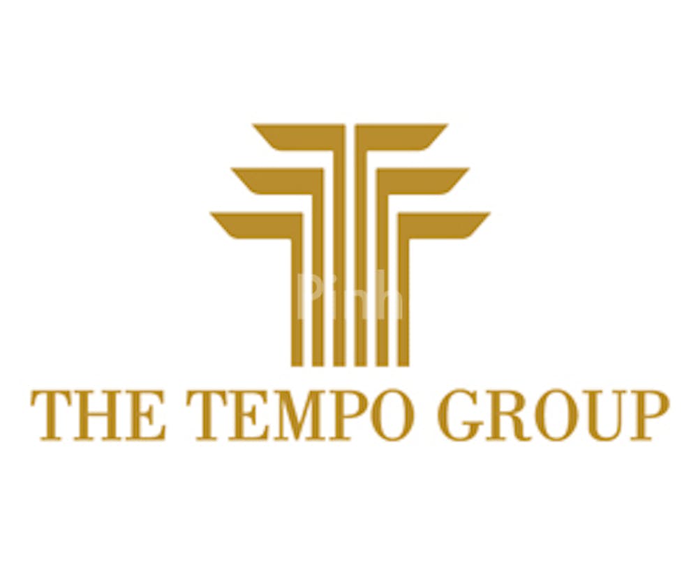 developer logo by The Tempo Group
