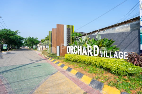 orchard village - 50