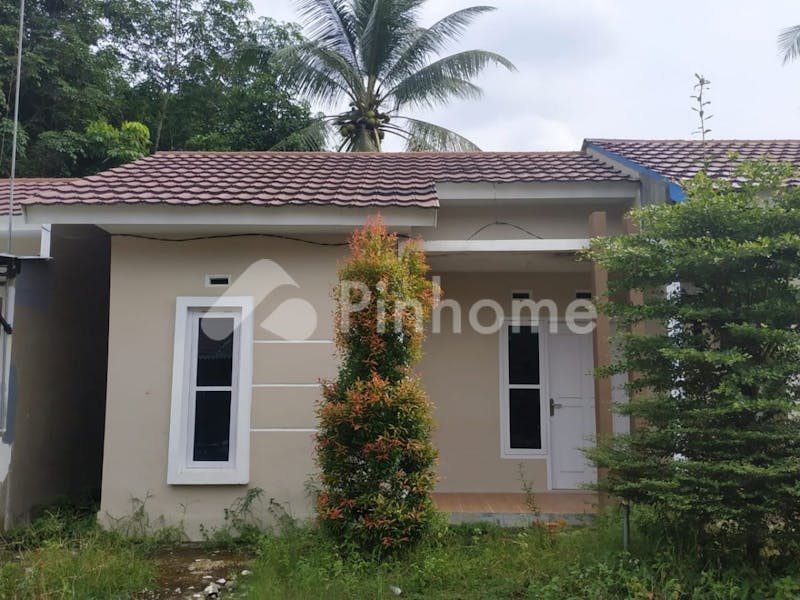 dijual rumah harga terbaik di kumpeh ulu - 1