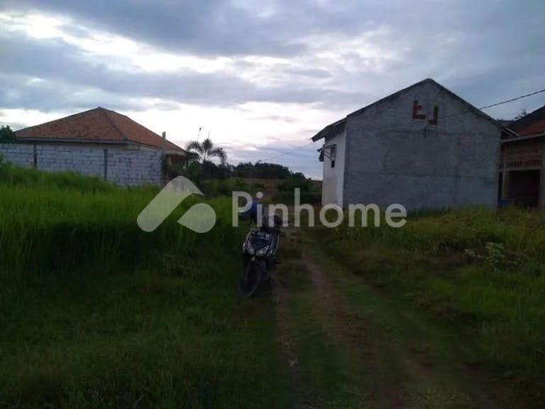 Dijual Tanah Residensial Lokasi Strategis di Dekat Tol Serang Timur - Gambar 3