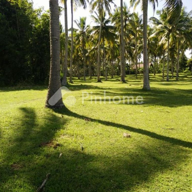 Dijual Tanah Residensial Sangat Cocok Untuk Investasi Dekat Pantai di Jalan Sahadena - Gambar 3