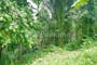 Dijual Tanah Residensial Sangat Cocok Untuk Investasi di Ubud - Thumbnail 4