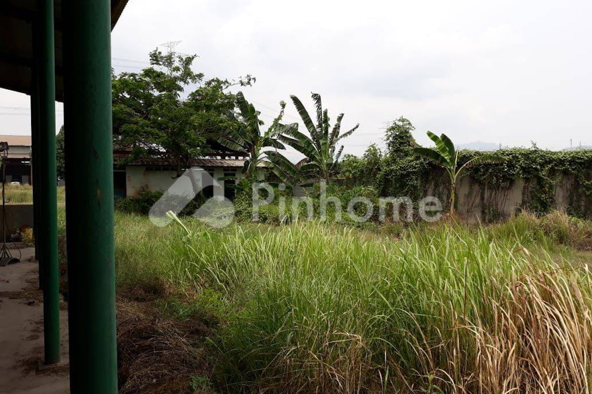 similar property dijual tanah residensial di bojonegara - 4