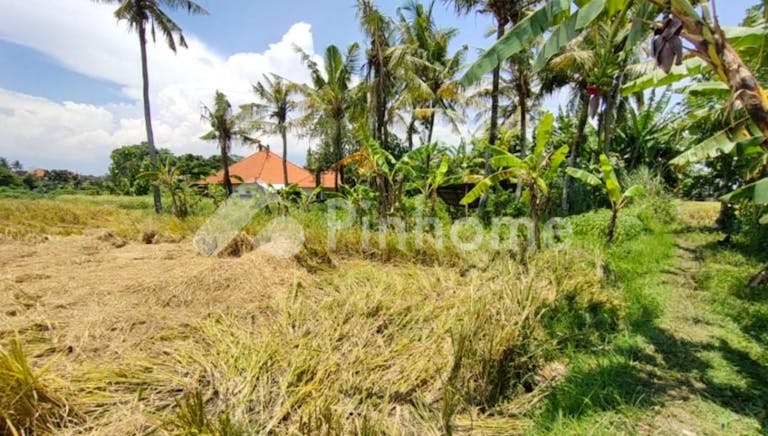 Dijual Tanah Residensial Lingkungan Nyaman Dekat Pantai di Pantai Nyanyi Tabanan - Gambar 3