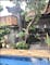 Disewakan Rumah Lokasi Bagus di Sanur, Bali - Thumbnail 12