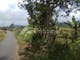 Dijual Tanah Residensial Lingkungan Asri Dekat Bedugul di Wanagiri - Thumbnail 2