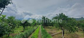 Dijual Tanah Residensial Sangat Cocok Untuk Investasi Dekat Tempat Wisata di Jalan Raya Kintamani - Gambar 4