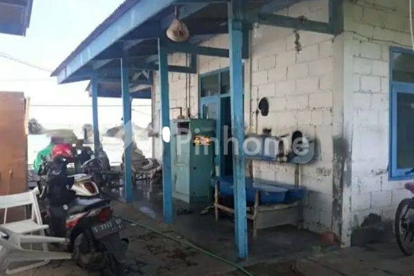 dijual tanah residensial lokasi bagus di panarukan  situbondo - 5