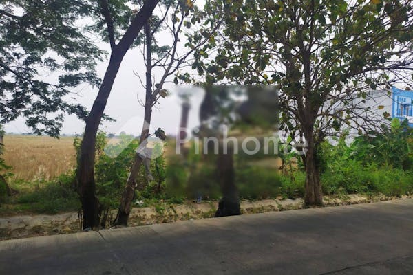 dijual tanah residensial lokasi bagus di pontang - 3