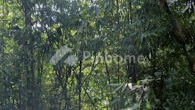 dijual tanah residensial bagus di bogor barat bogor jawa barat