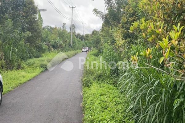 dijual tanah residensial jarang ada dekat danau di jl  raya wanagiri - 6