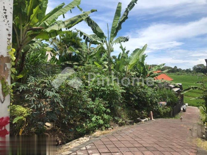 dijual tanah residensial good quality di tiying tutul pererenan canggu - 1