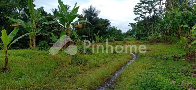 dijual tanah residensial sangat strategis di pejeng tampak siring gianyar  bali  tampaksiring  gianyar  bali - 1