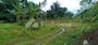 Dijual Tanah Residensial Sangat Strategis di Pejeng,Tampak Siring,Gianyar,,Bali, Tampaksiring, Gianyar, Bali - Thumbnail 2