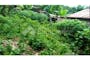 Dijual Tanah Residensial Good Quality di Karanggintung Sumbang Purwokerto - Thumbnail 3
