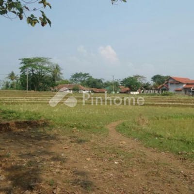dijual tanah residensial super strategis di jl  cariu  jonggol  kabupaten bogor  jawa barat - 3