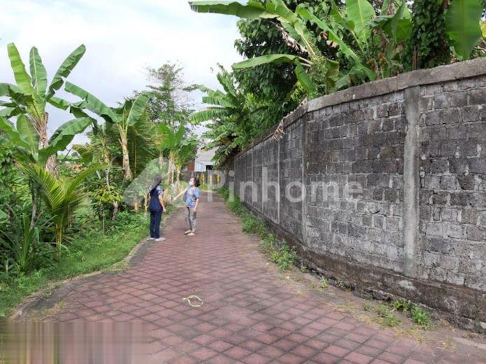 dijual tanah residensial harga ekonomis di raya kapal mengwi - 2