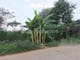 Dijual Tanah Residensial Lokasi Strategis di Sawangan (Lama) - Thumbnail 2