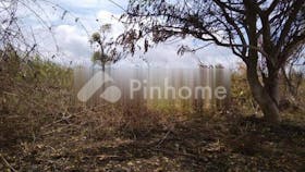 dijual tanah residensial lokasi bagus di jl pantai buleleng