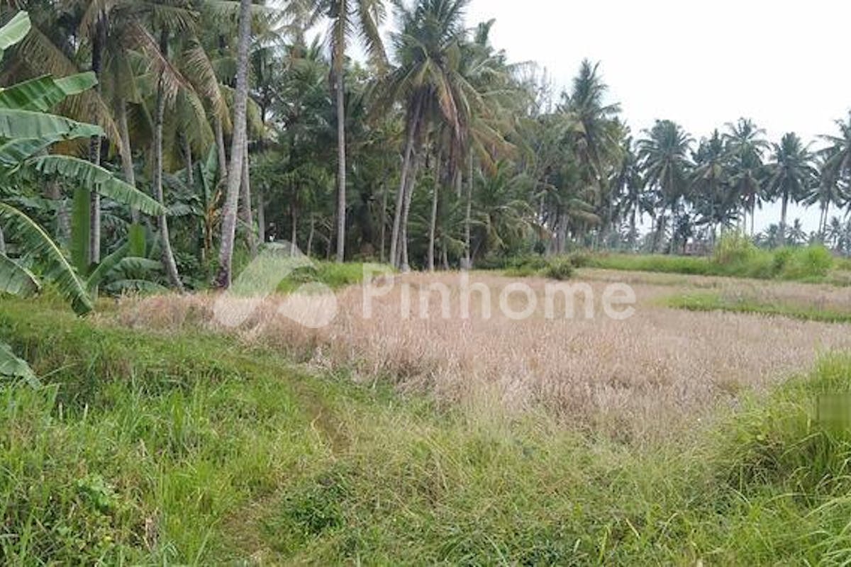 similar property dijual tanah residensial lokasi bagus di lodtunduh  ubud - 1