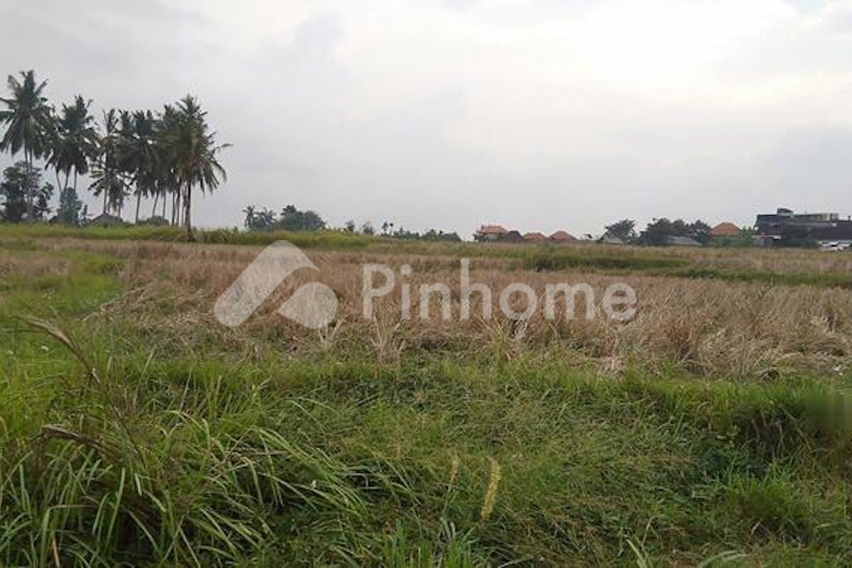 similar property dijual tanah residensial lokasi bagus di lodtunduh  ubud - 2