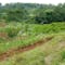 Dijual Tanah Residensial Lingkungan Asri Dekat Dekat Fasilitas Umum di Cikalong Wetan Raya - Thumbnail 2