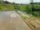 Dijual Tanah Residensial Lingkungan Asri Dekat Dekat Fasilitas Umum di Cikalong Wetan Raya - Thumbnail 7