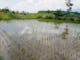 Dijual Tanah Residensial Lingkungan Asri Dekat Dekat Fasilitas Umum di Cikalong Wetan Raya - Thumbnail 8