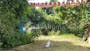 Dijual Tanah Komersial Lingkungan Nyaman di Gatot Subroto - Thumbnail 1