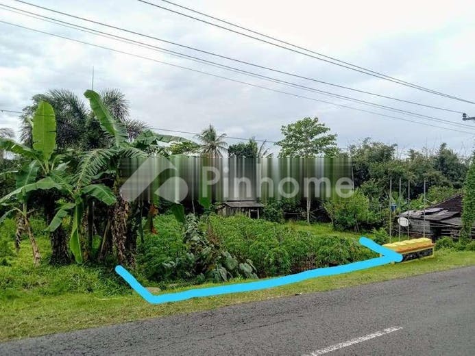 dijual tanah residensial harga terbaik di cangkringan - 2