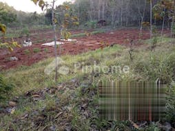 Dijual Tanah Residensial Super Murah di Tepus Gunung Kidul - Gambar 2