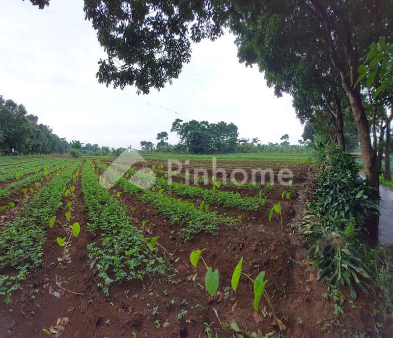 dijual tanah residensial lingkungan asri di jln mulyaharja  bogor - 2