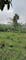 Dijual Tanah Residensial Lingkungan Asri di Jln Mulyaharja, Bogor - Thumbnail 3