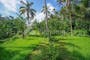 Dijual Tanah Residensial Lingkungan Asri di Ubud - Thumbnail 1