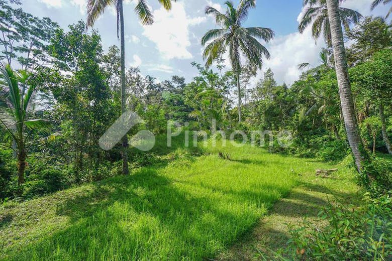 dijual tanah residensial lingkungan asri di ubud - 2