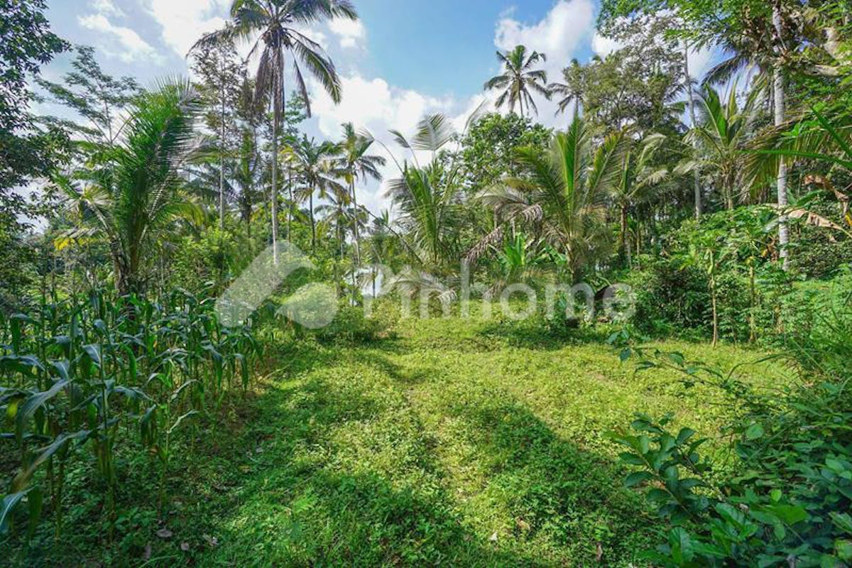 similar property dijual tanah residensial lingkungan asri di ubud - 3