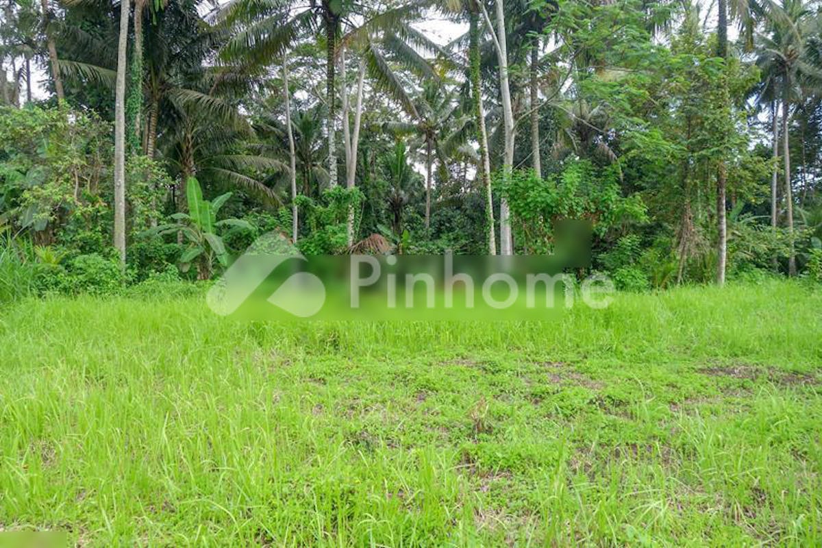 similar property dijual tanah residensial good quality di ubud - 2