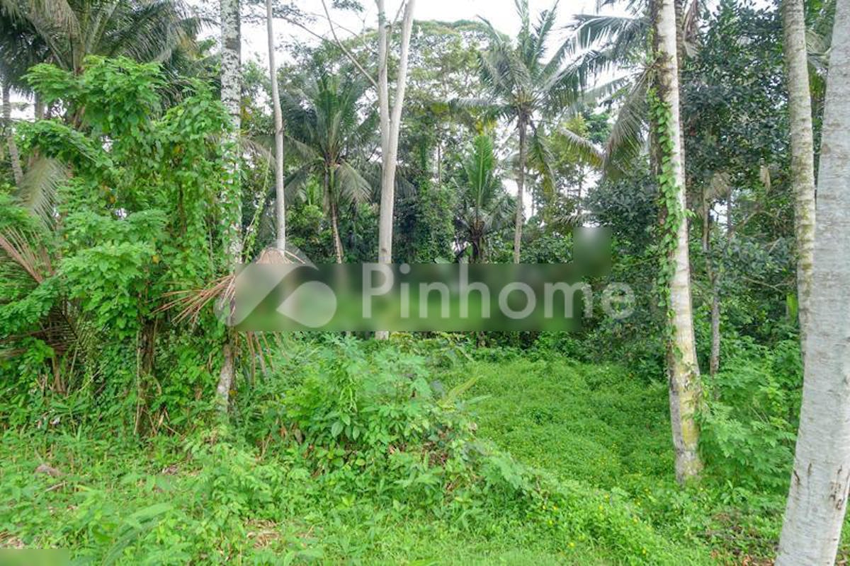 similar property dijual tanah residensial good quality di ubud - 3