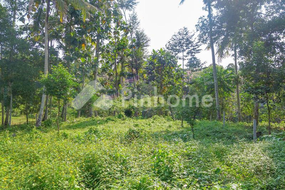 similar property dijual tanah residensial terstrategis di ubud - 3
