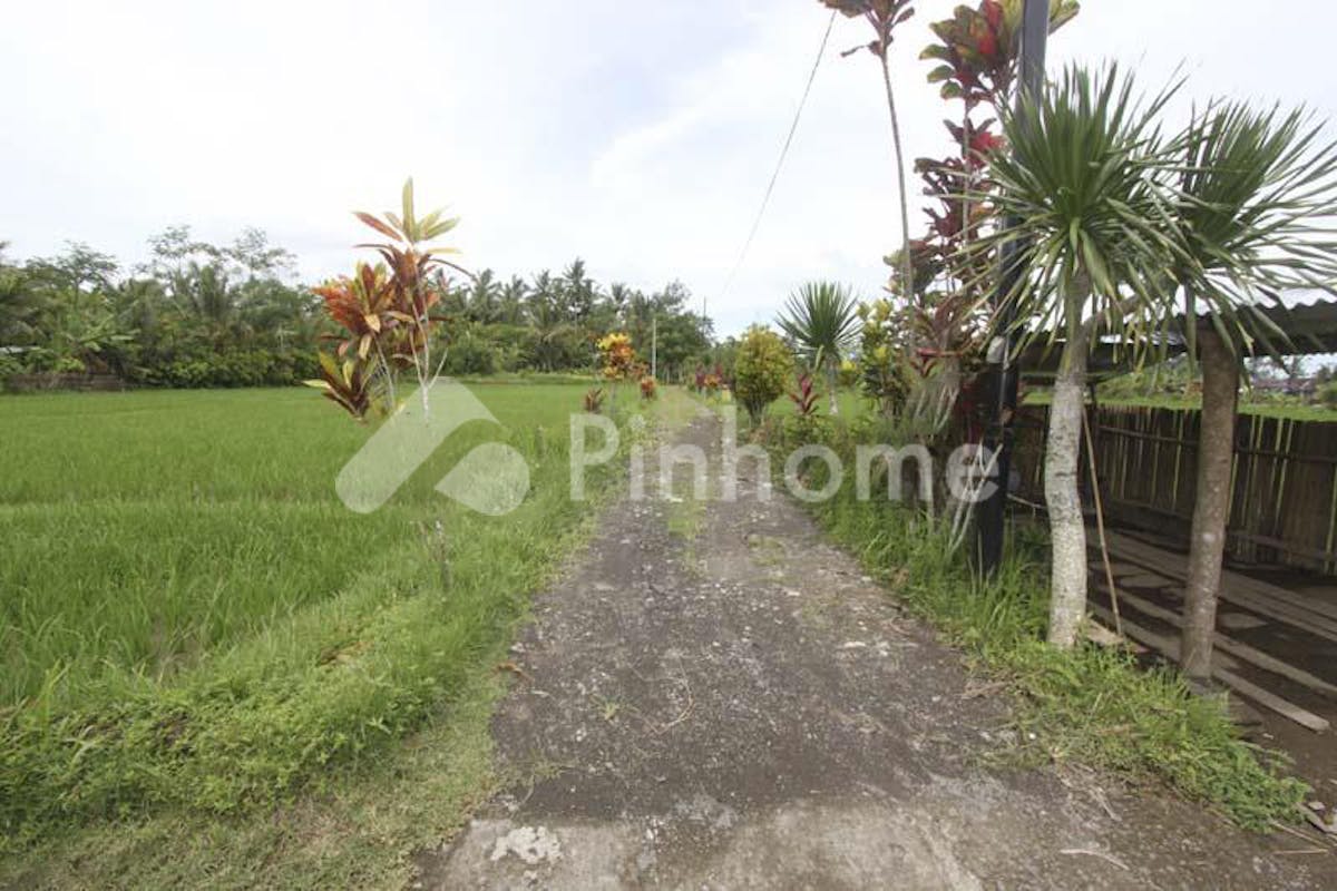 similar property dijual tanah residensial jarang ada di ubud - 5