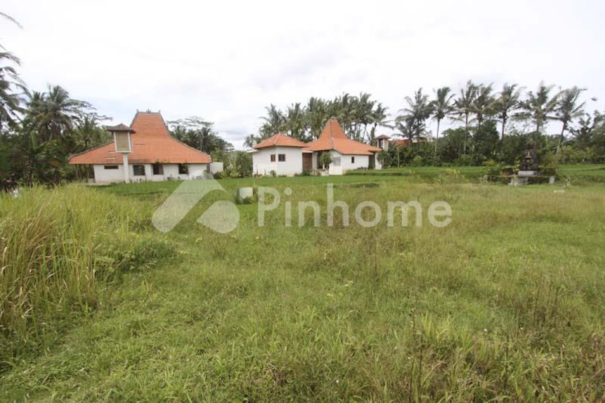 similar property dijual tanah residensial jarang ada di ubud - 2