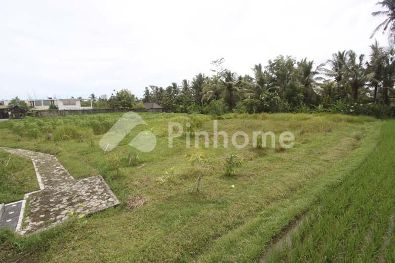 dijual tanah residensial jarang ada di ubud - 3