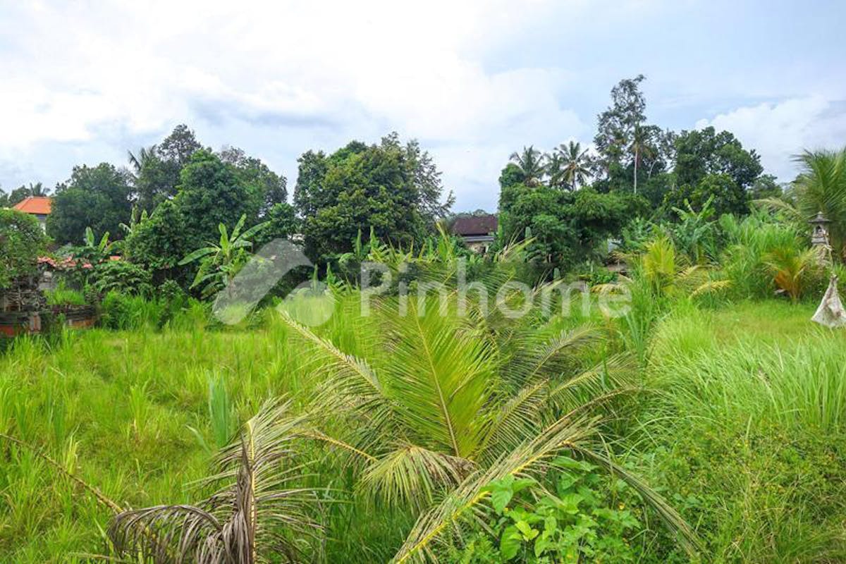 similar property dijual tanah residensial sangat cocok untuk investasi di ubud - 4