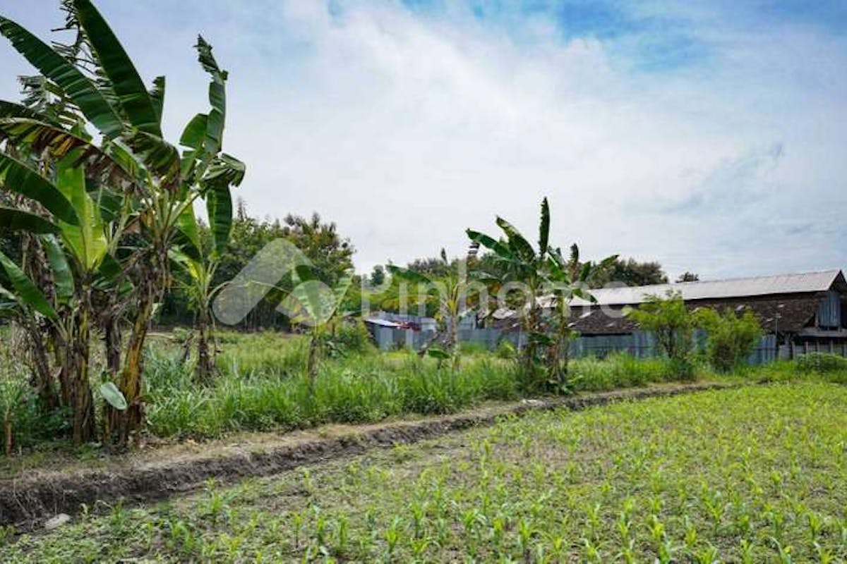 similar property dijual tanah residensial lingkungan nyaman di kedunggong - 2