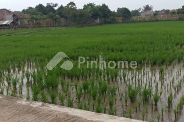 dijual tanah residensial lokasi strategis di ciherang bojongkunci  pameungpeuk - 3