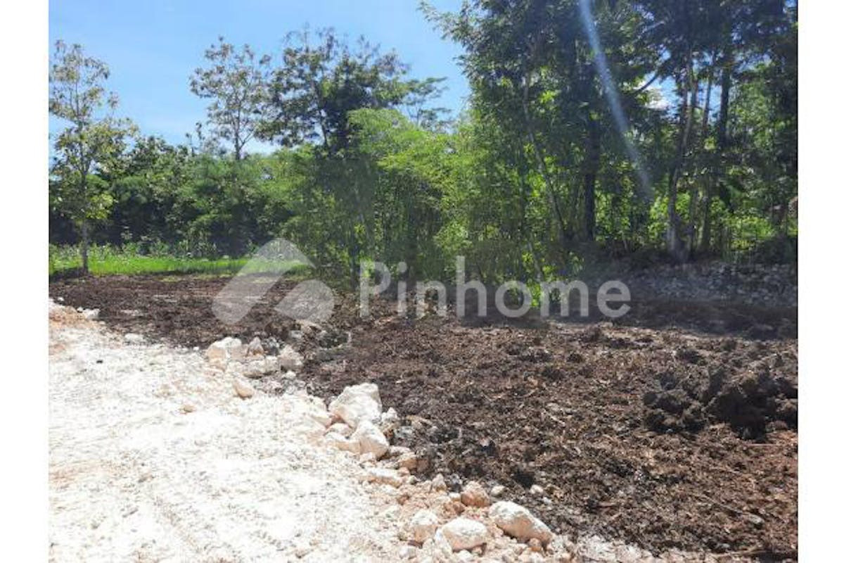 similar property dijual tanah residensial lingkungan nyaman dekat pasar hewan semanu di pacarejo - 4