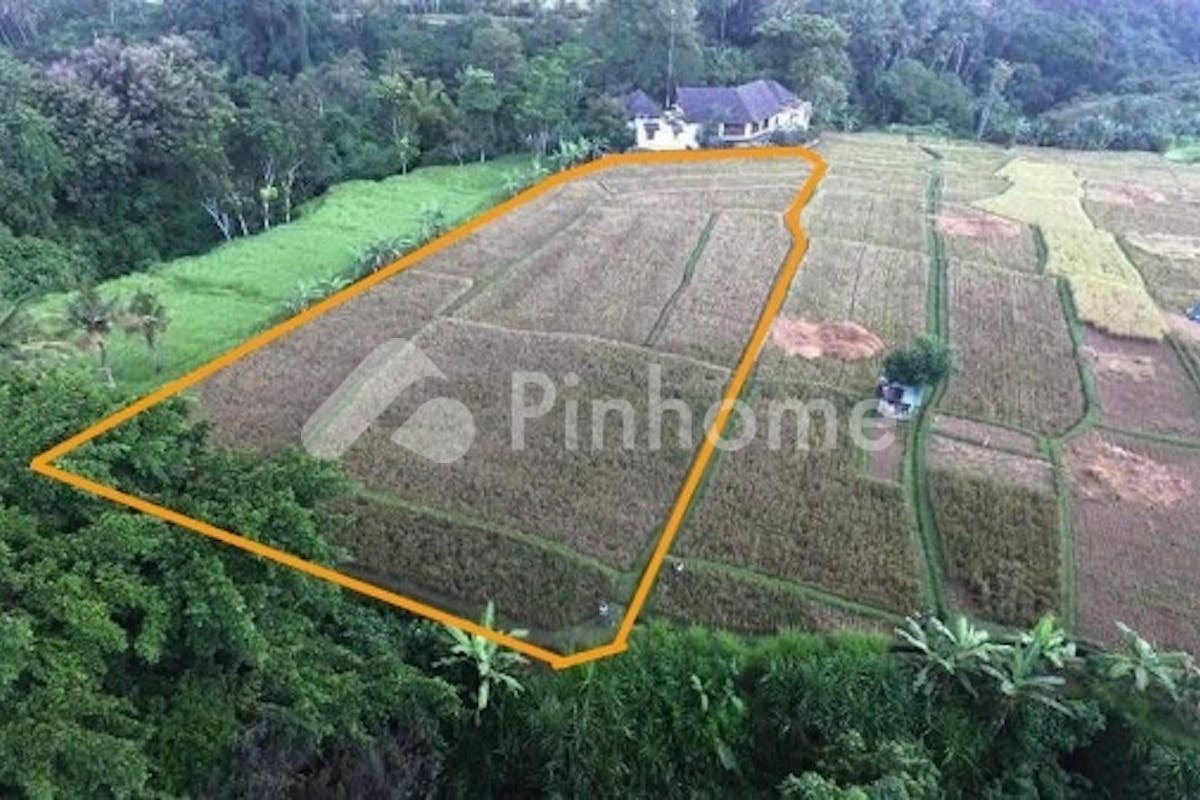 similar property dijual tanah residensial sangat cocok untuk investasi di jl  tegal utu - 4