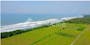 Dijual Tanah Residensial Fasilitas Terbaik di Pekutatan, Jembrana, Pulau Bali, Indonesia - Thumbnail 3