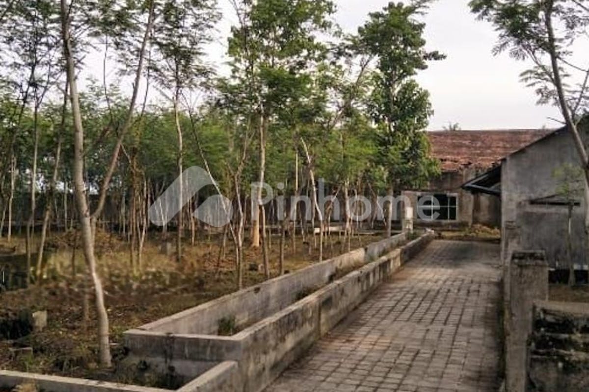 similar property dijual tanah residensial lingkungan asri di jalan pakisan desa kajar - 2